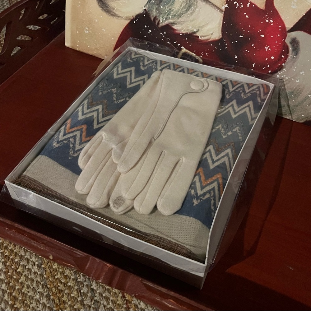 Cream Gloves and Chevron Scarf Set